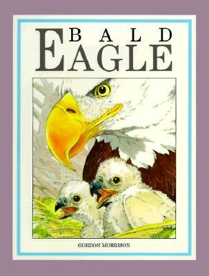 Bald Eagle book cover