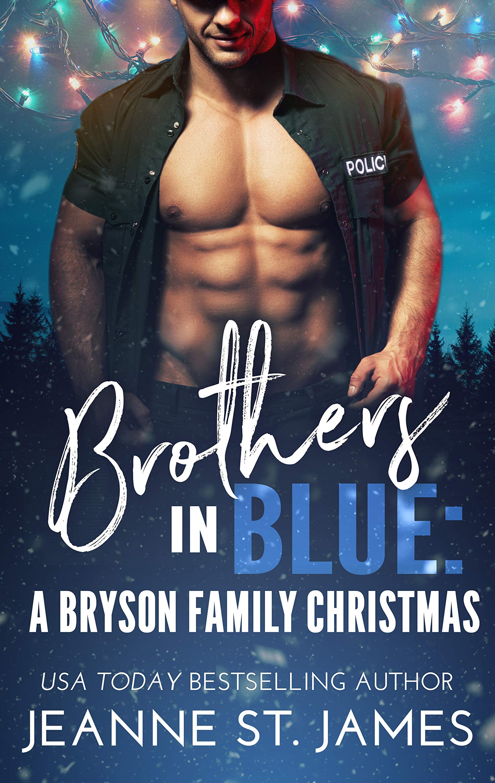 Brothers in Blue book cover