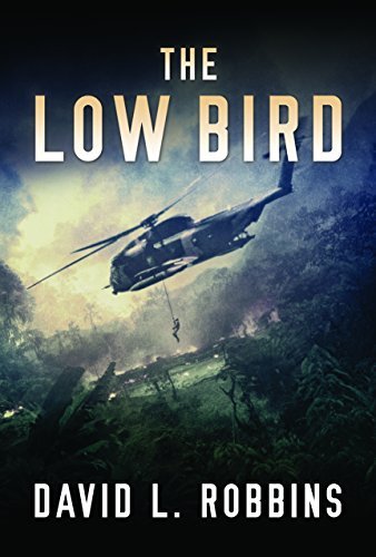 The Low Bird book cover