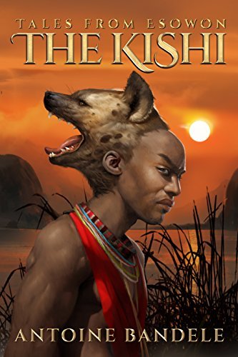 The Kishi book cover