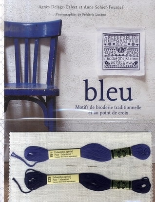 Bleu book cover