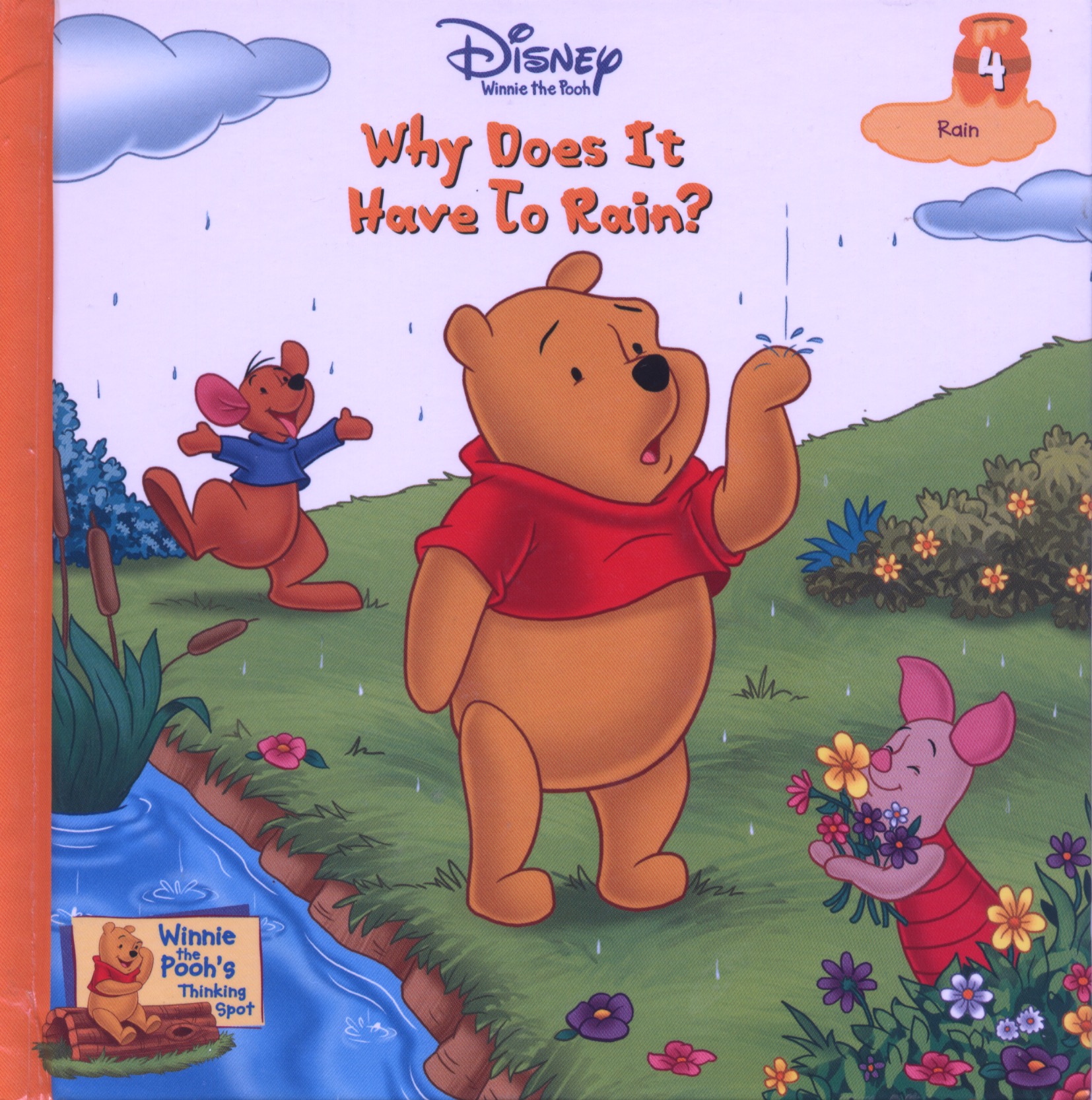 Why Does It Have To Rain? Rain book cover
