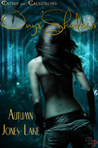 Catnip and Cauldrons book cover 2