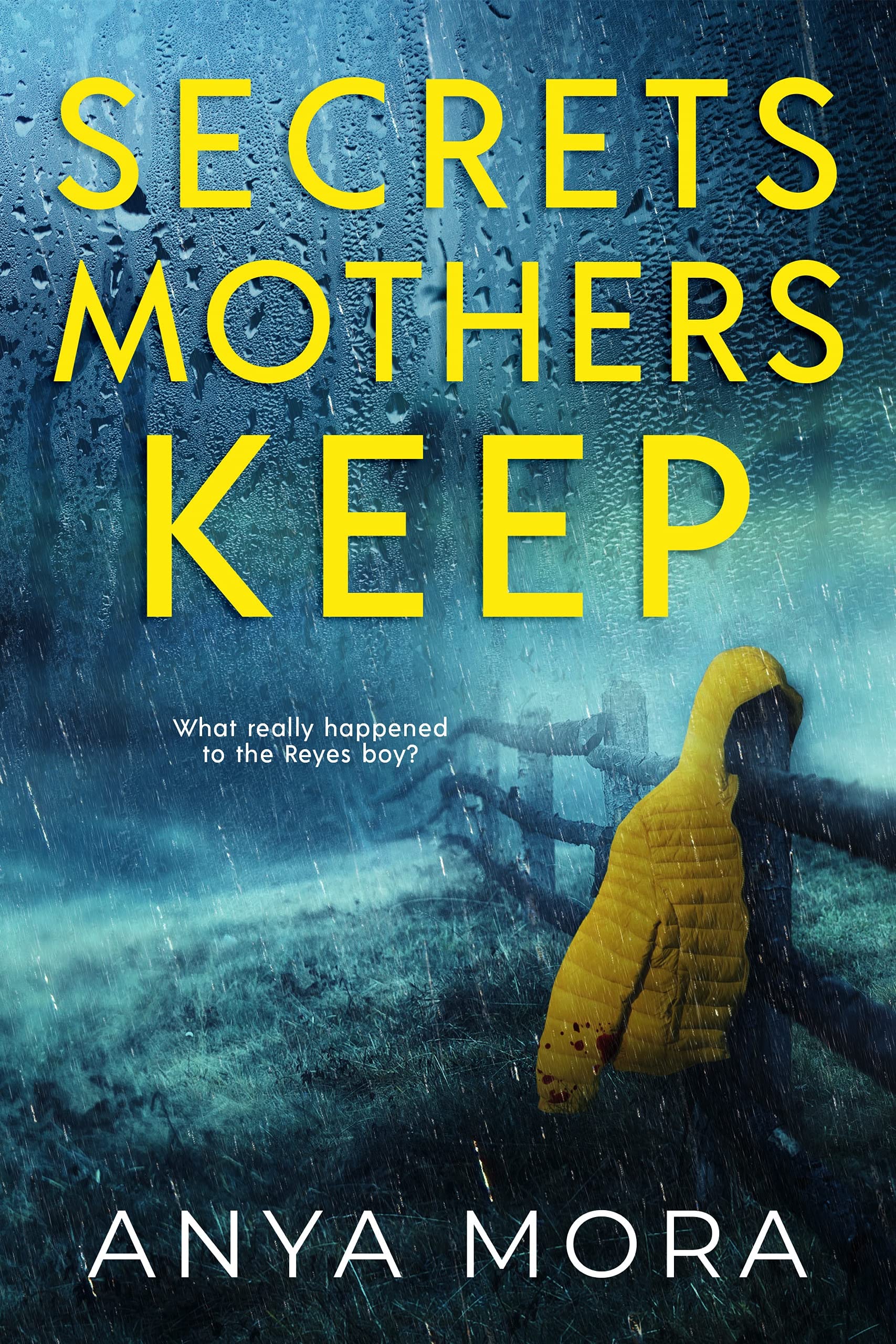 Secrets Mothers Keep book cover