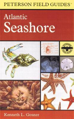 A Field Guide to the Atlantic Seashore book cover