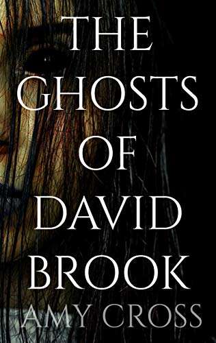 The Ghosts of David Brook book cover