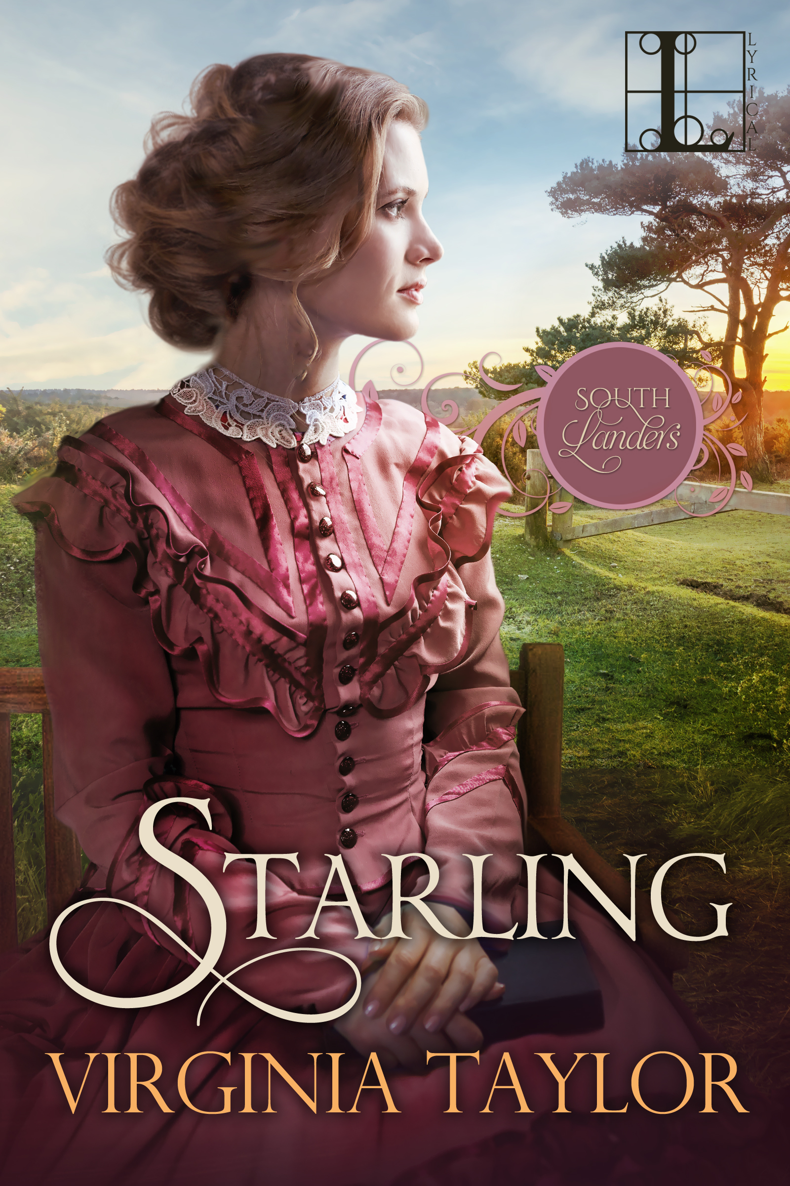 South Landers book cover 1