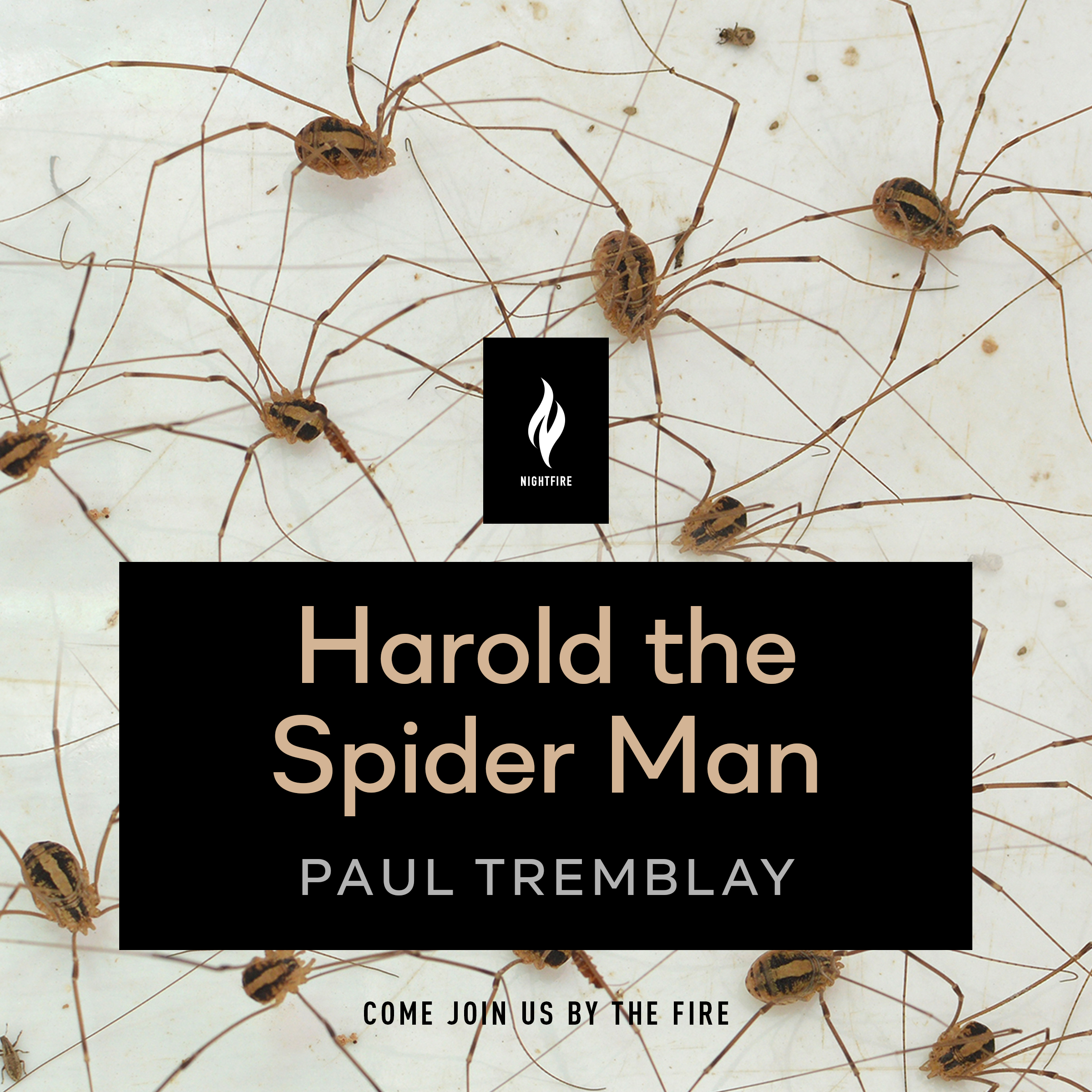 Harold the Spider Man book cover