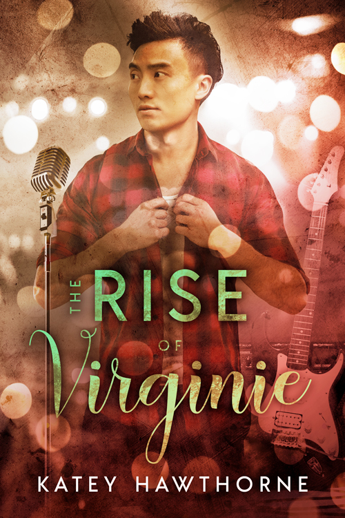 The Rise of Virginie book cover