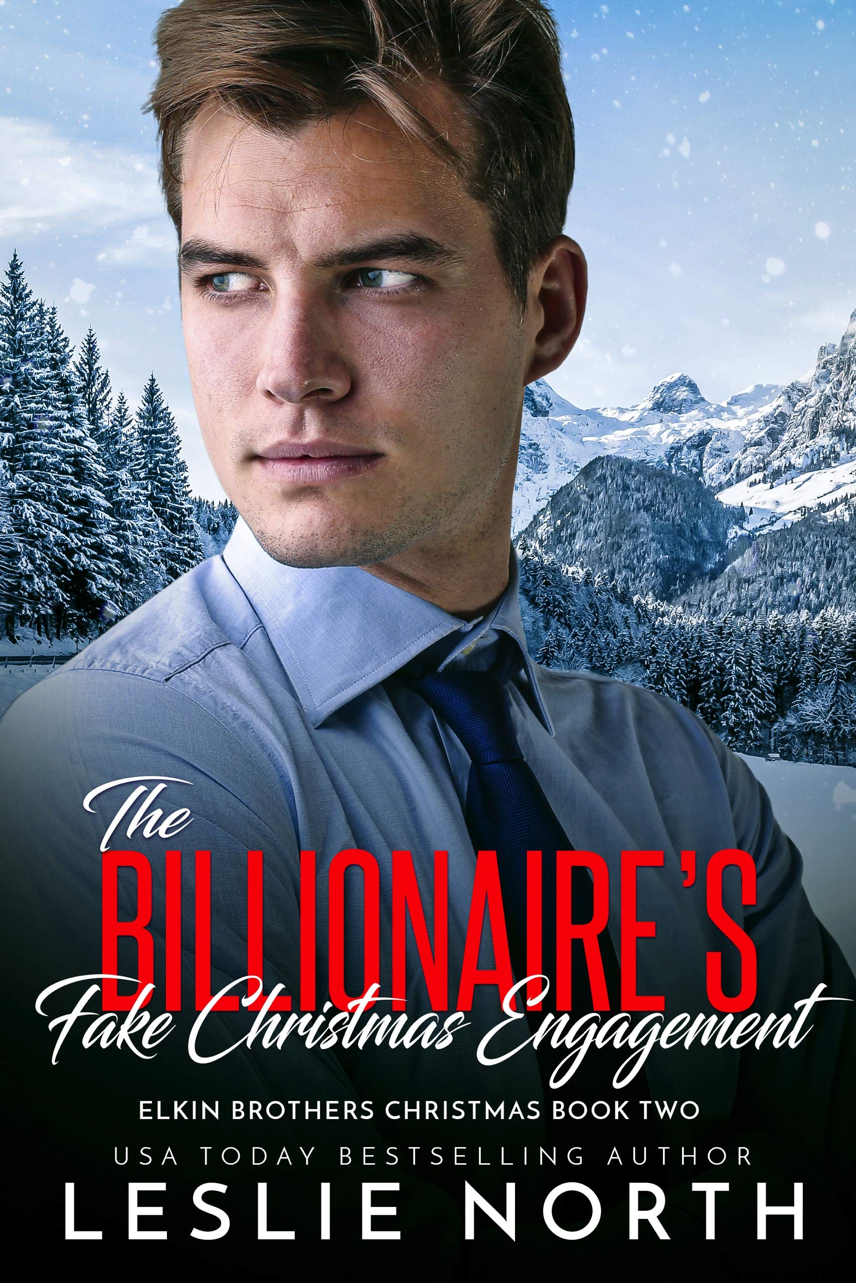 Elkin Brothers Christmas book cover 2