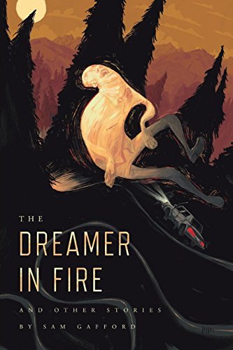 The Dreamer in Fire and Other Stories book cover