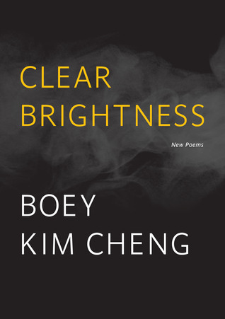 Clear Brightness book cover