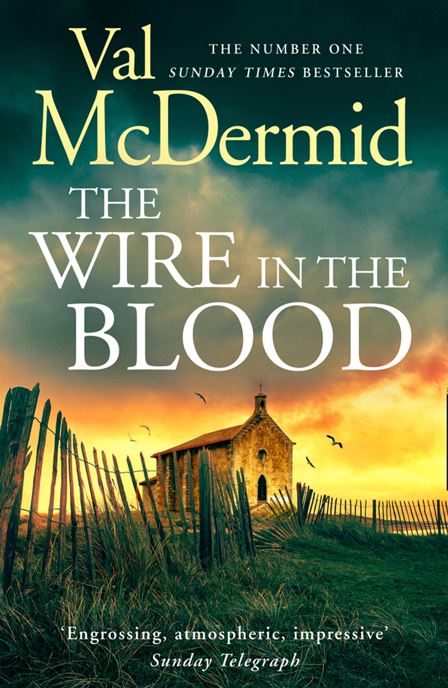 The Wire in the Blood book cover