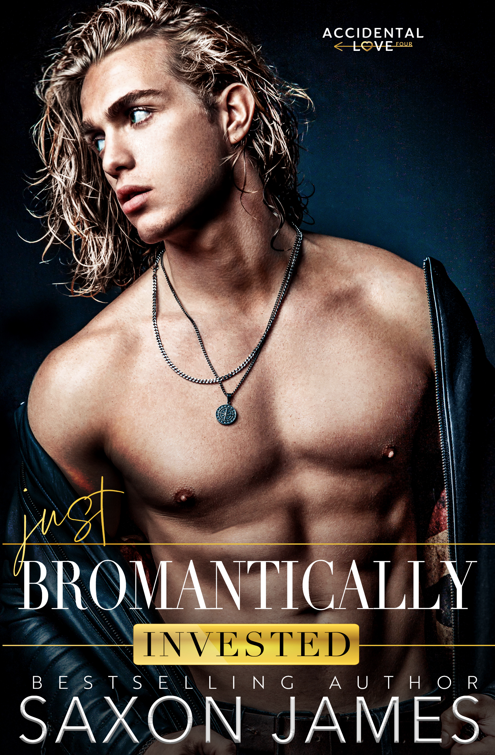 Just Bromantically Invested book cover