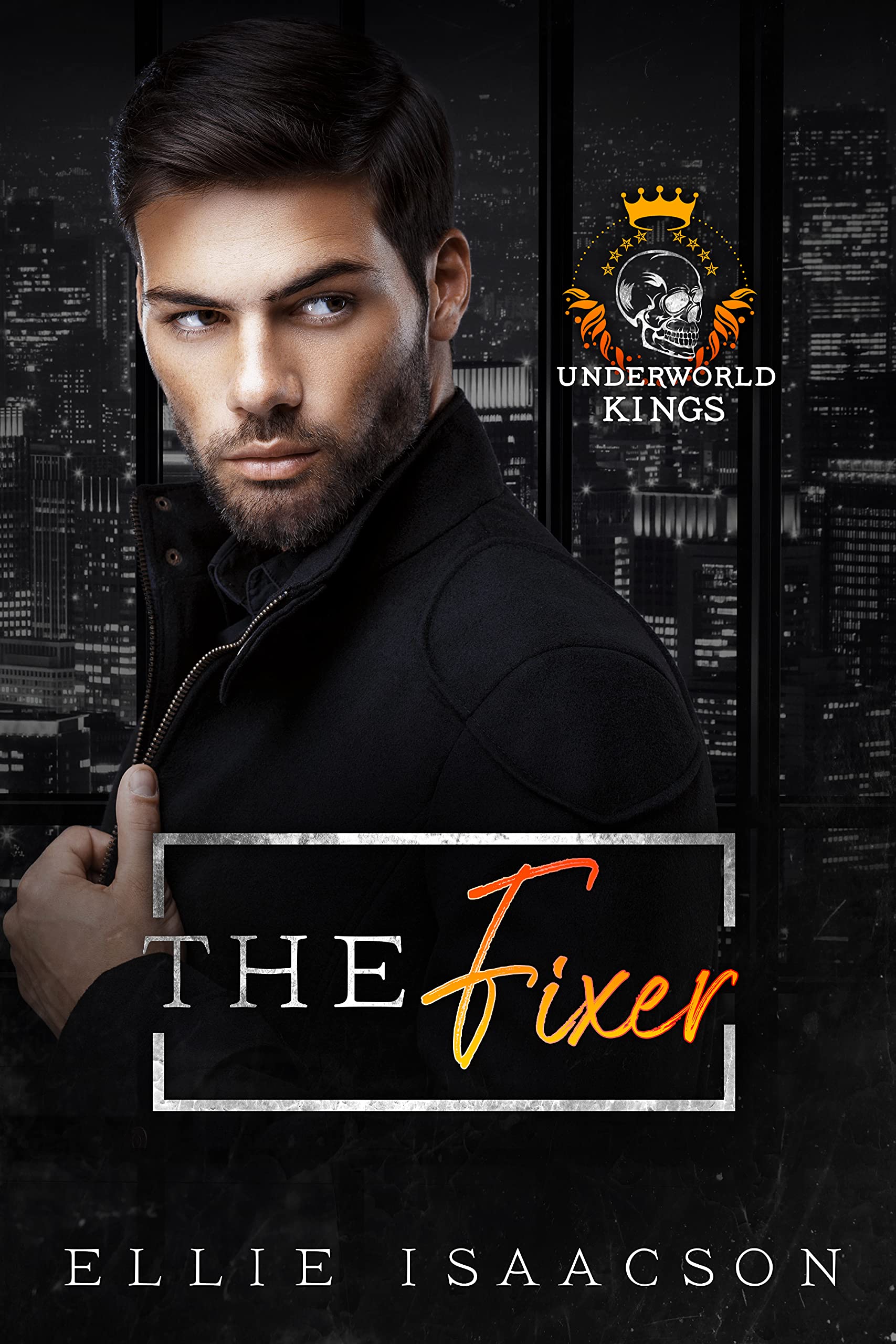 The Fixer book cover