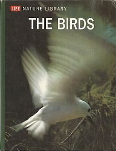 The Birds book cover