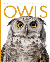 Owls book cover