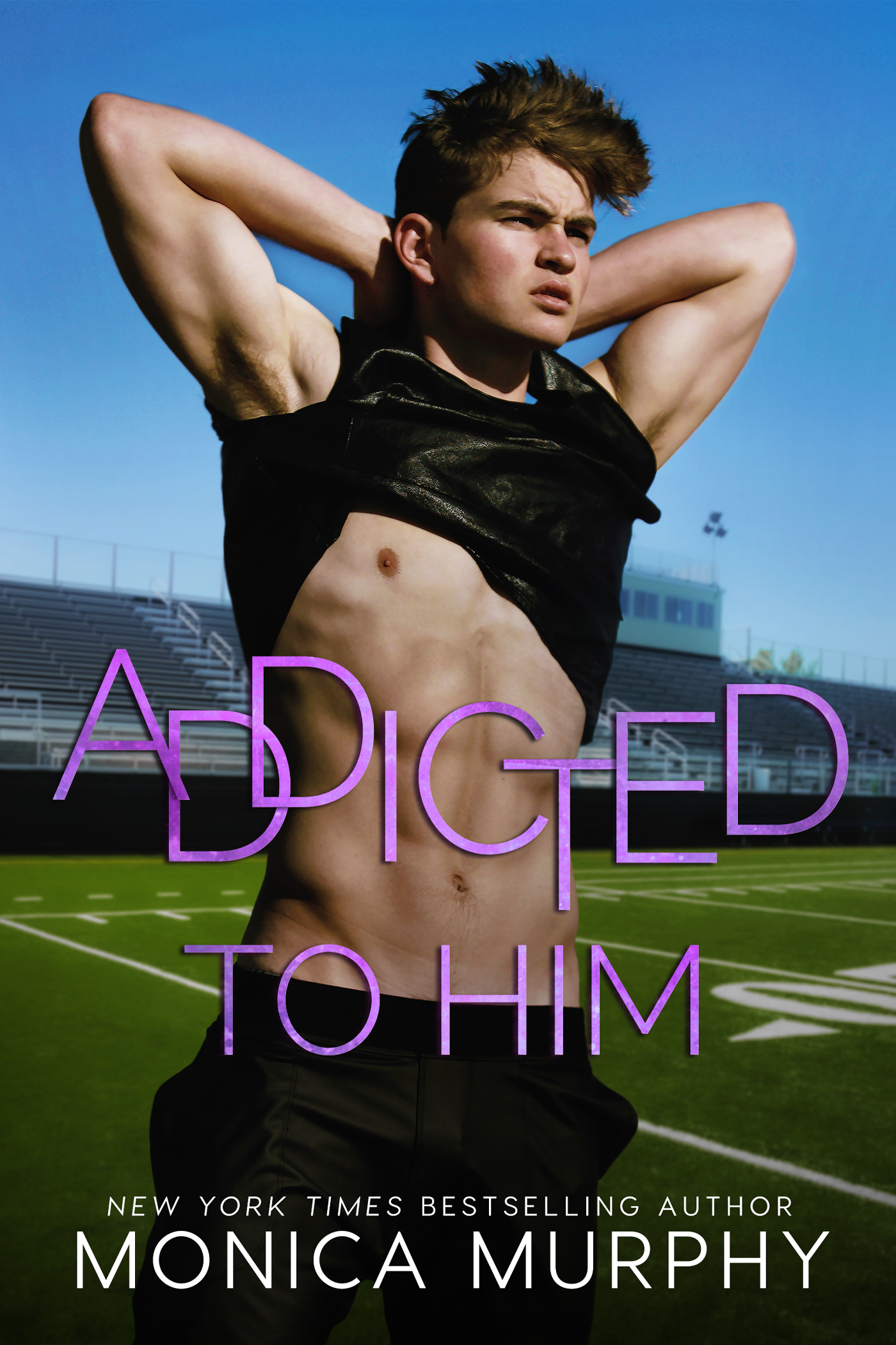 The Callahans book cover 3