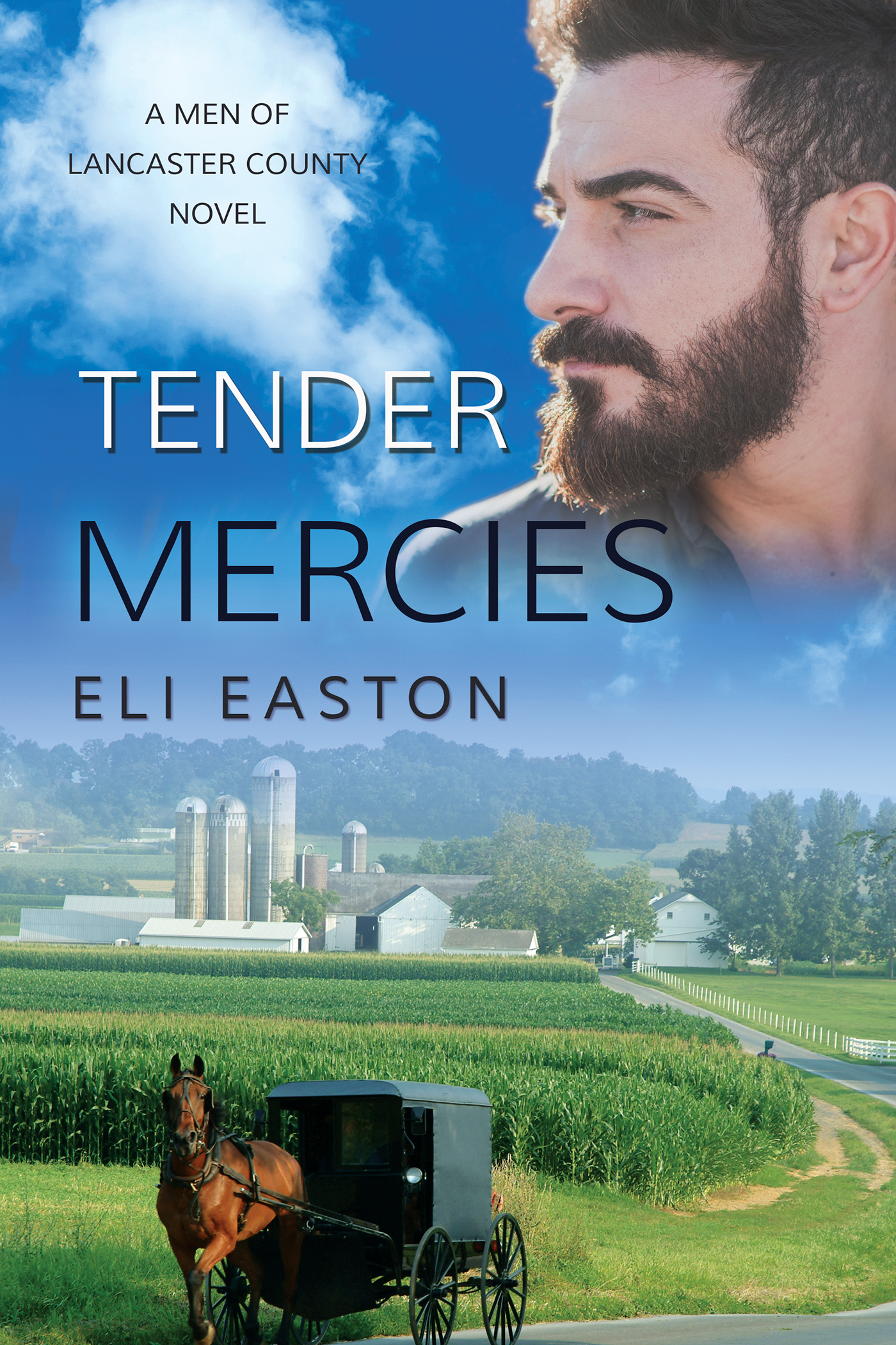 Men of Lancaster County book cover 2