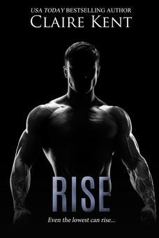 Rise book cover