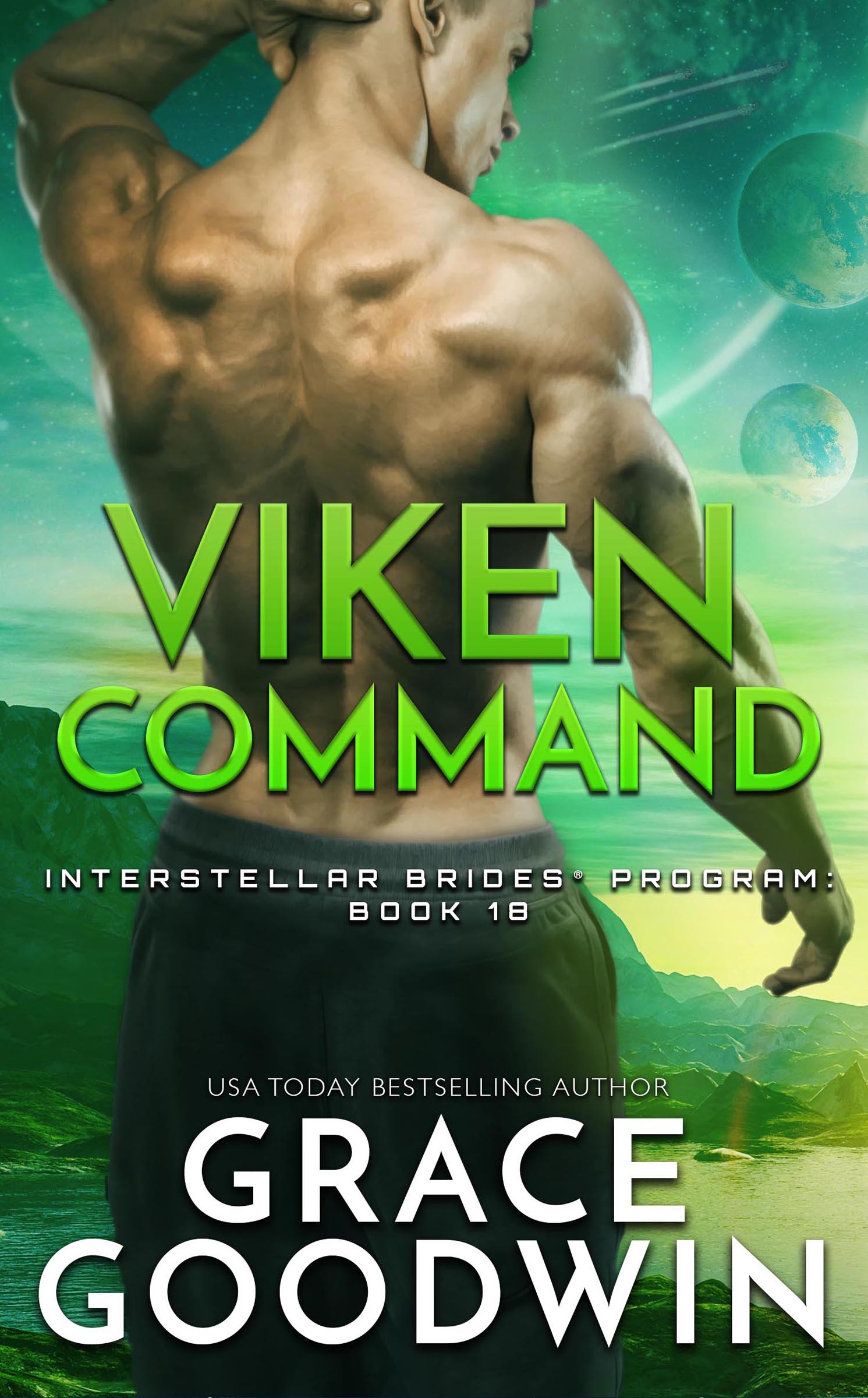 Viken Command book cover