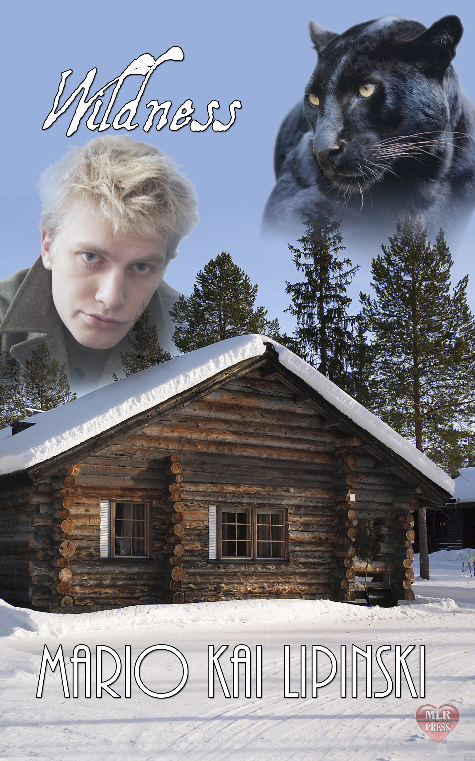 Wildness book cover