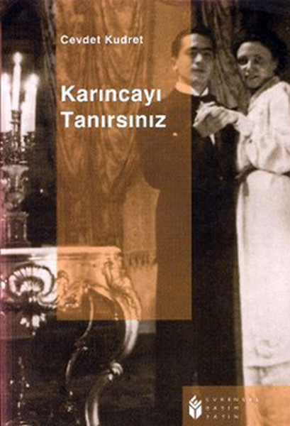 Süleyman'ın Dünyası book cover 3