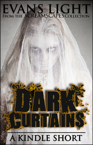 Dark Curtains book cover