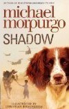 Shadow book cover