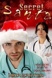 Secret Santa book cover