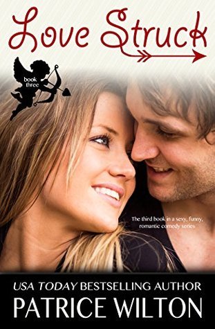 Serendipity Falls book cover 3