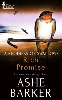Rich Promise book cover