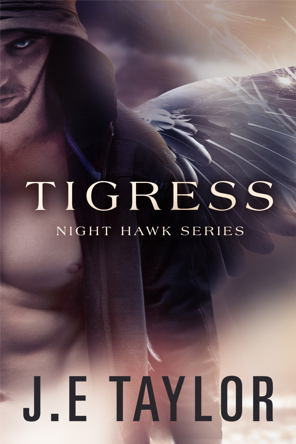 Night Hawk book cover 2