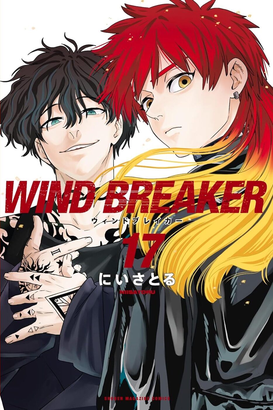 WIND BREAKER 17 book cover