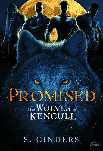 Promised book cover