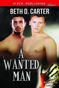 A Wanted Man book cover