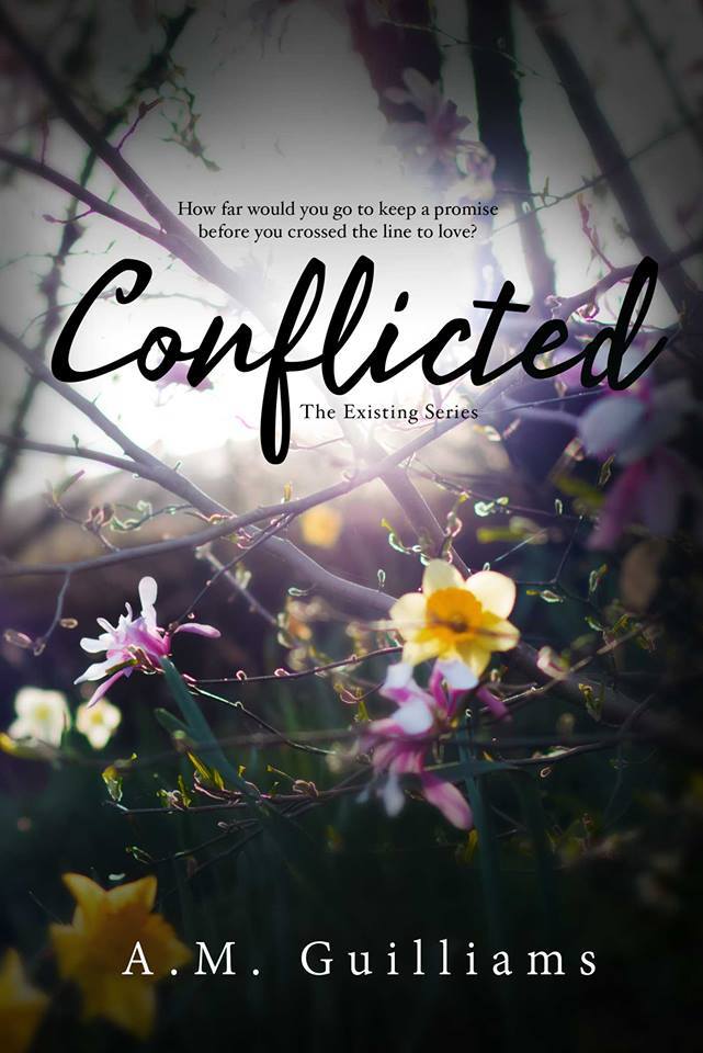 Existing book cover 2
