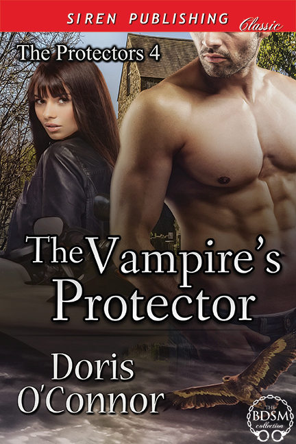 The Vampire's Protector book cover