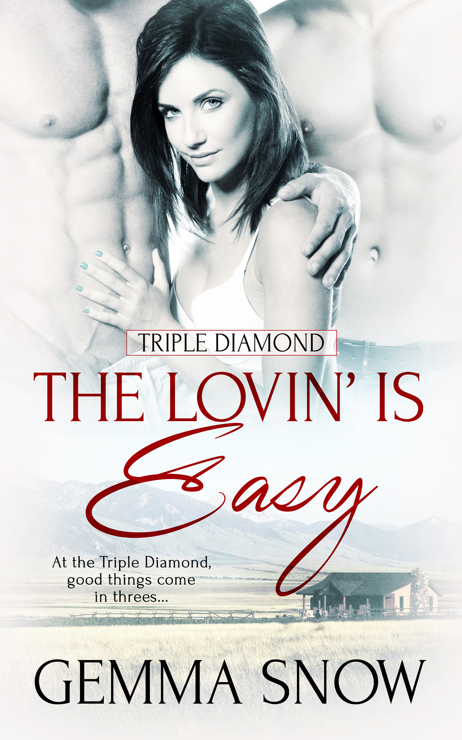 Triple Diamond book cover 1