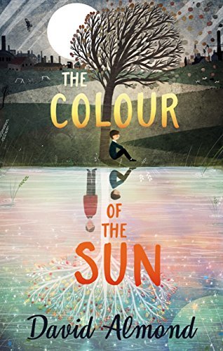The Colour of the Sun book cover