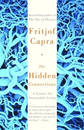 The Hidden Connections book cover