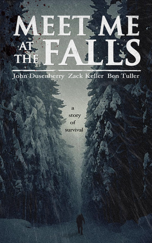 Meet Me At The Falls book cover 1
