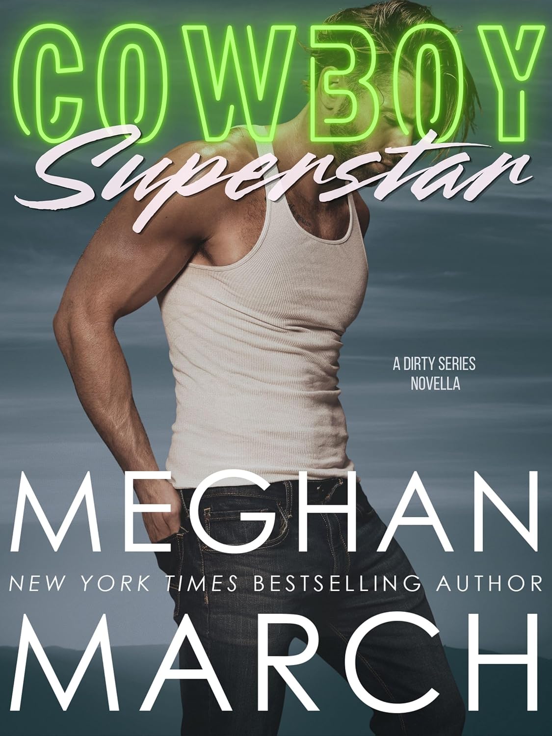 Cowboy Superstar book cover