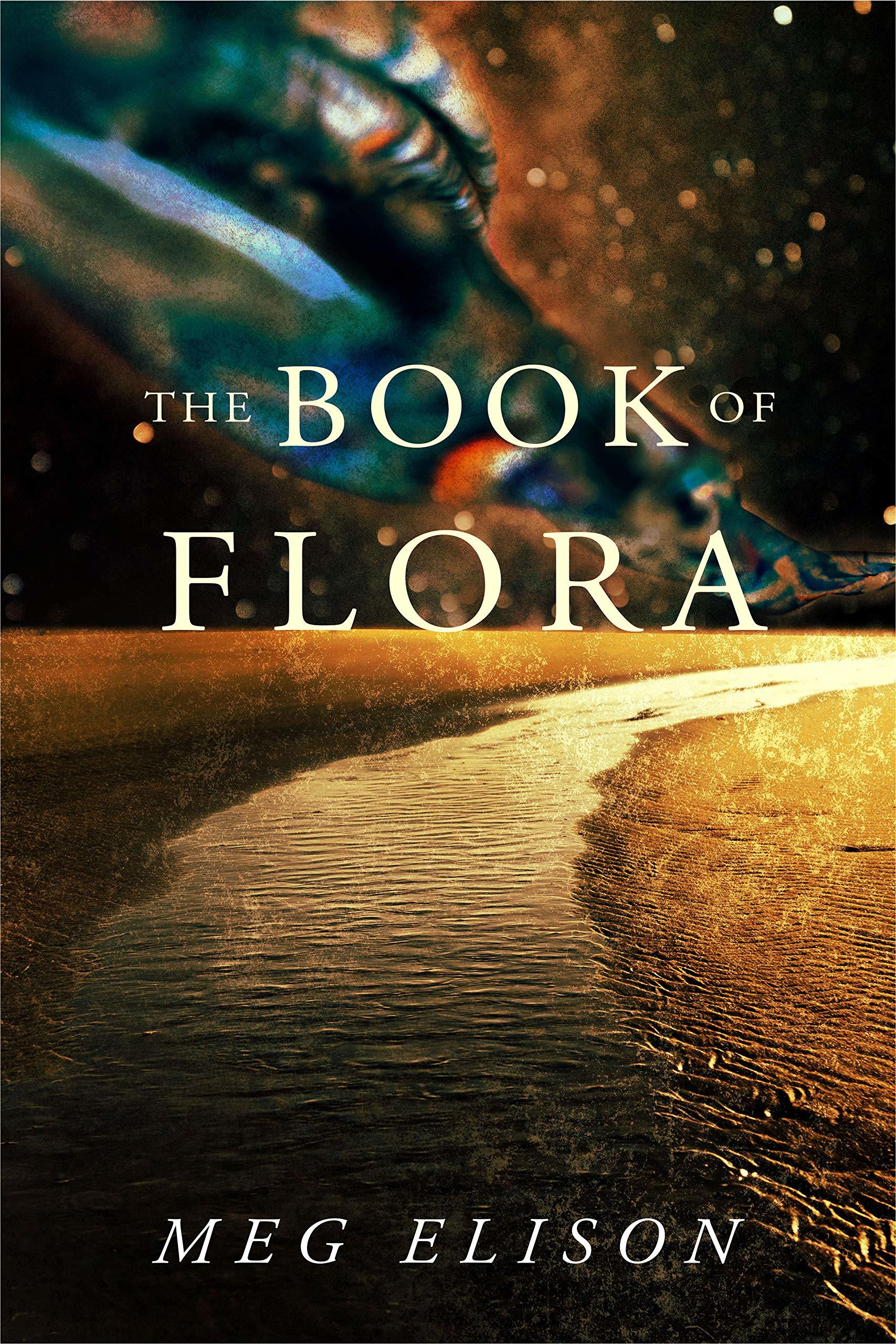 The Road to Nowhere book cover 3