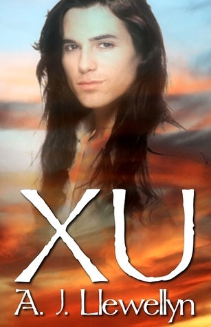 Xu book cover 1