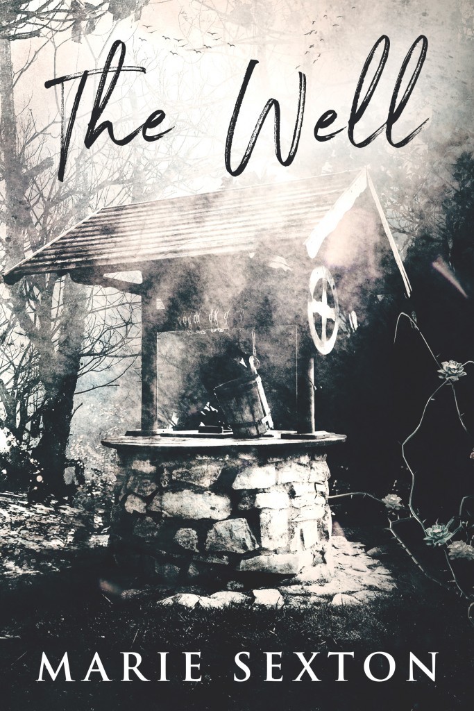 The Well book cover