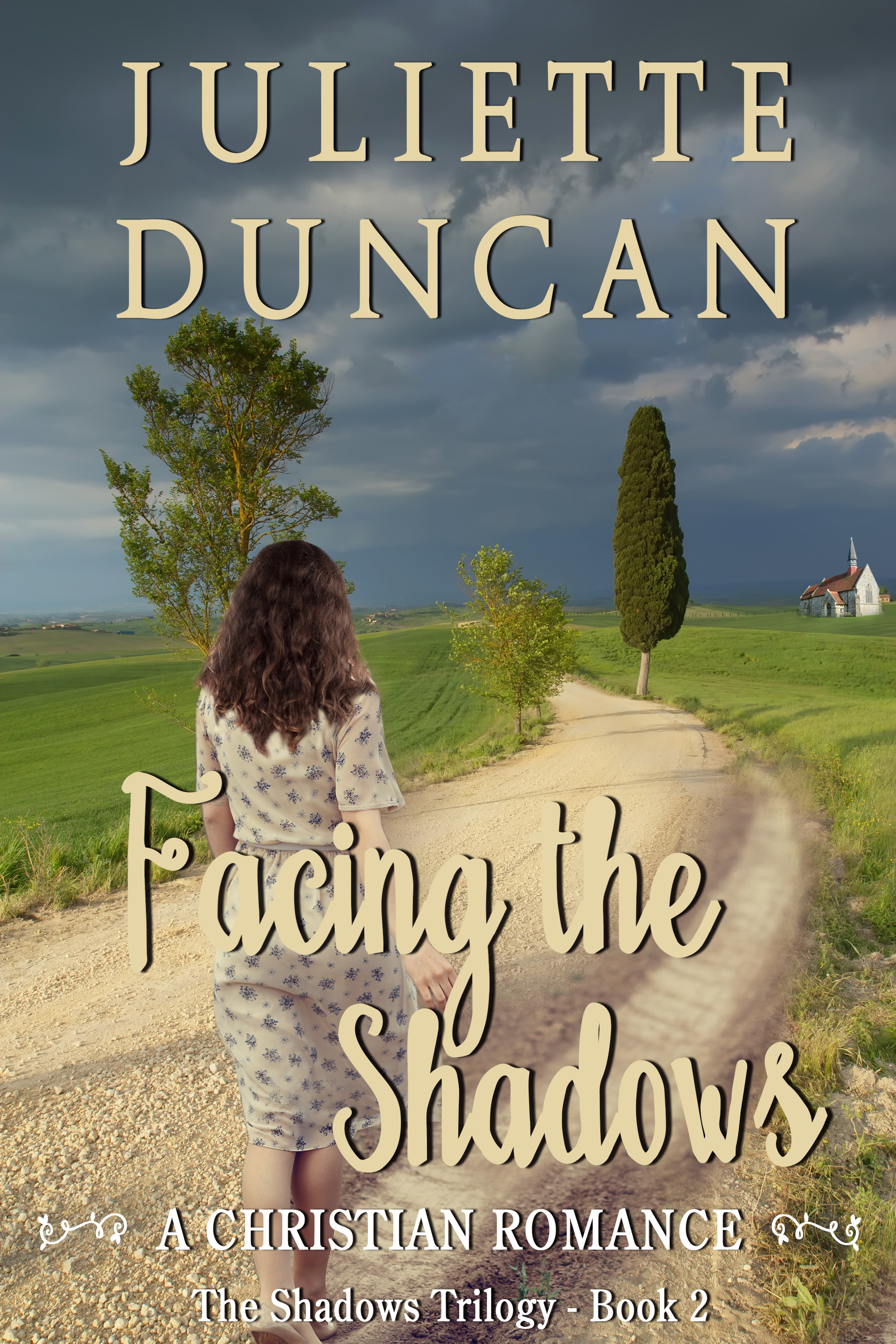 The Shadows book cover 2