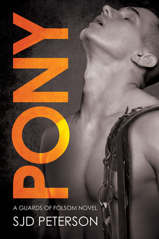 Guards of Folsom book cover 3