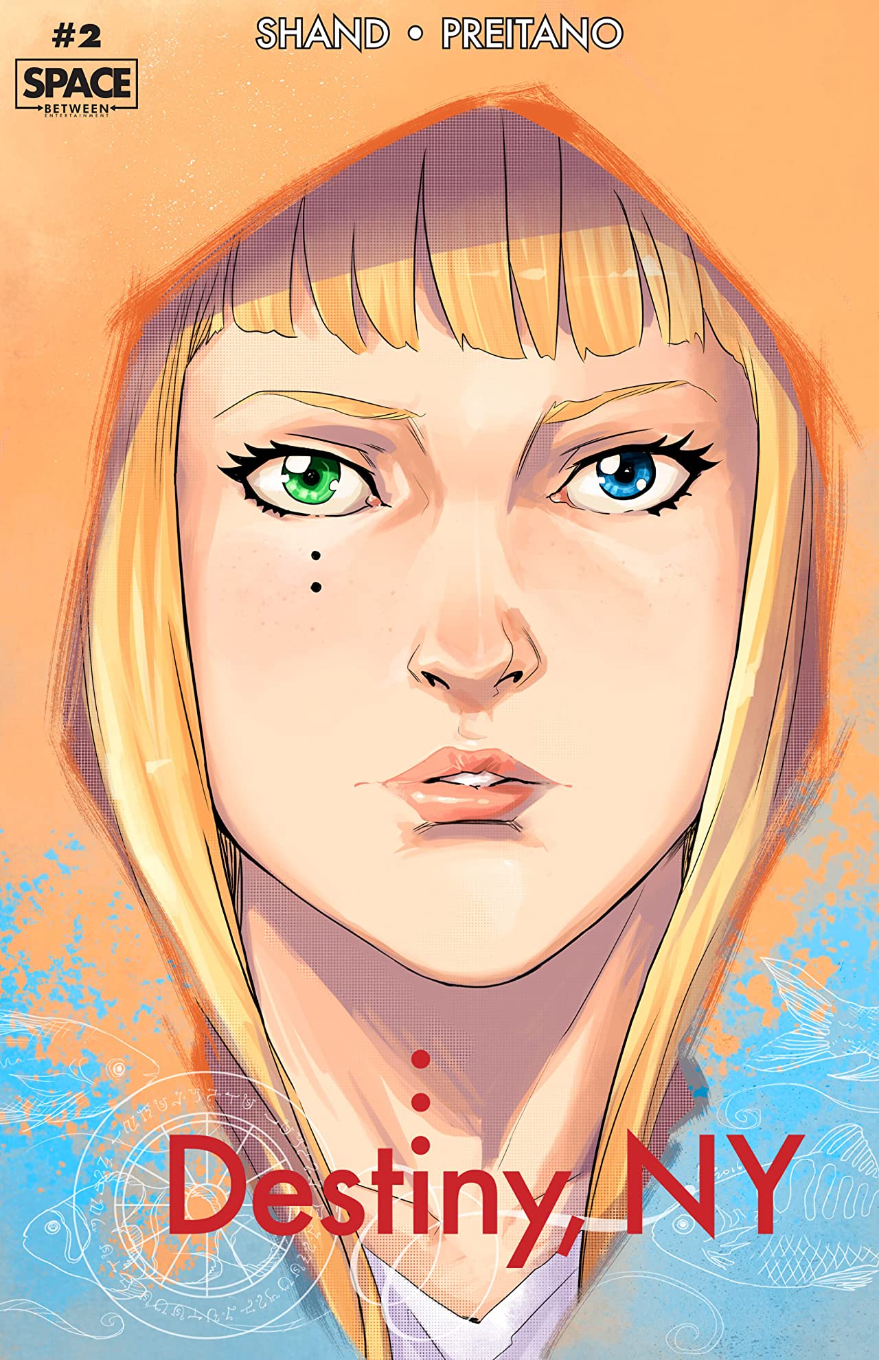 Destiny, NY (single issues) book cover 1