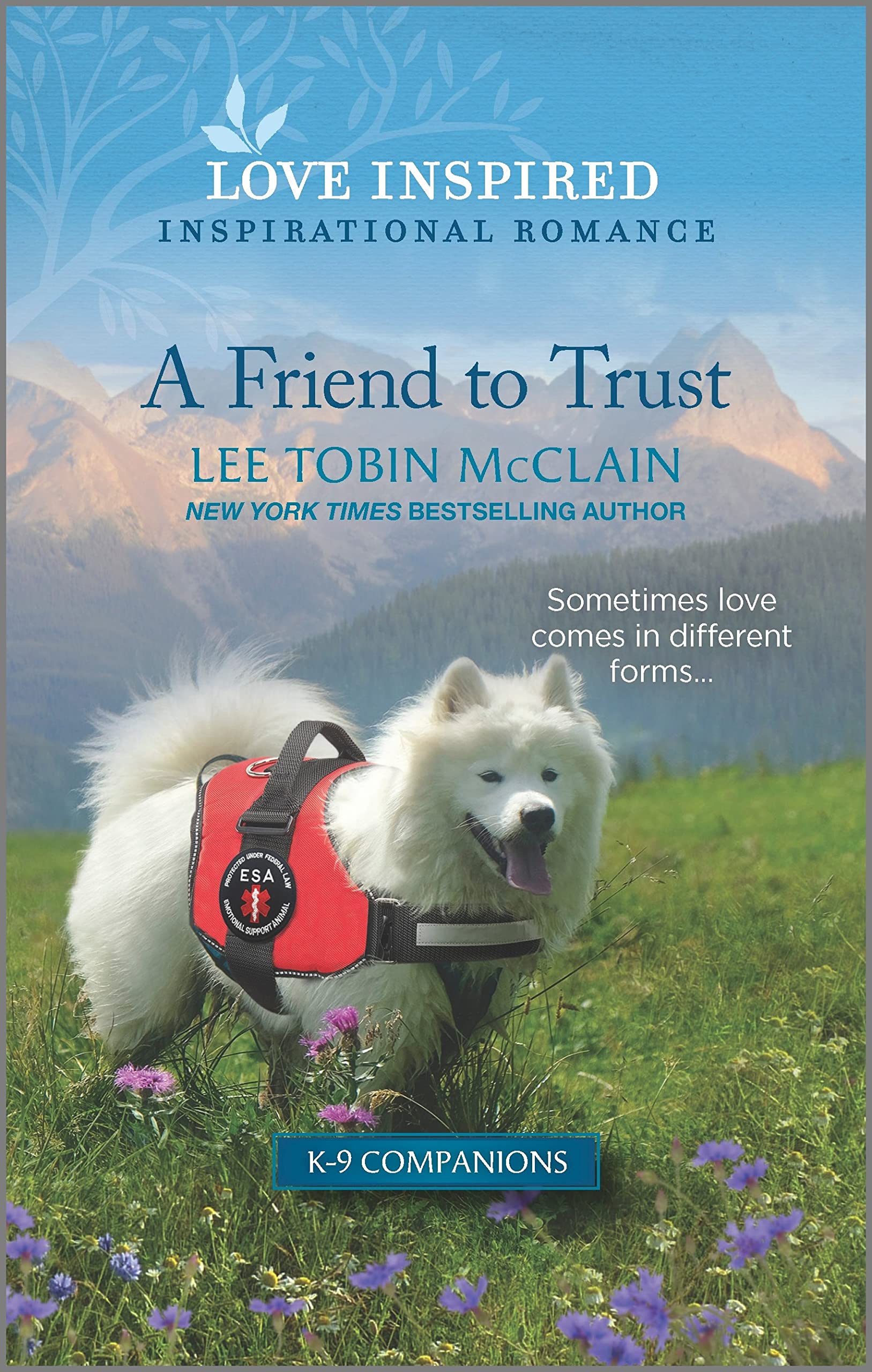 A Friend to Trust book cover